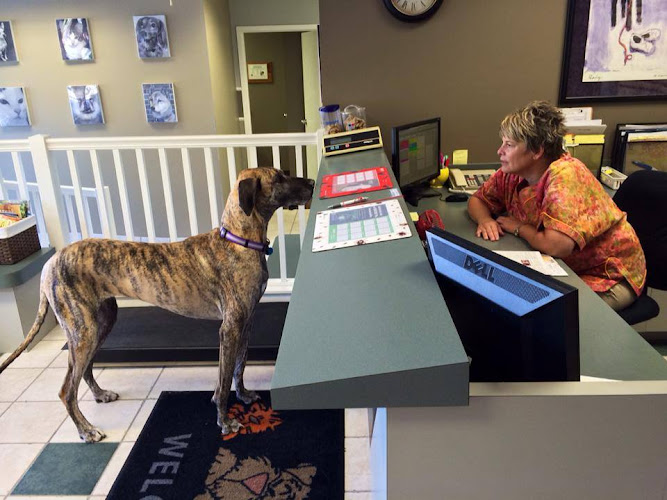 College Boulevard Animal Hospital